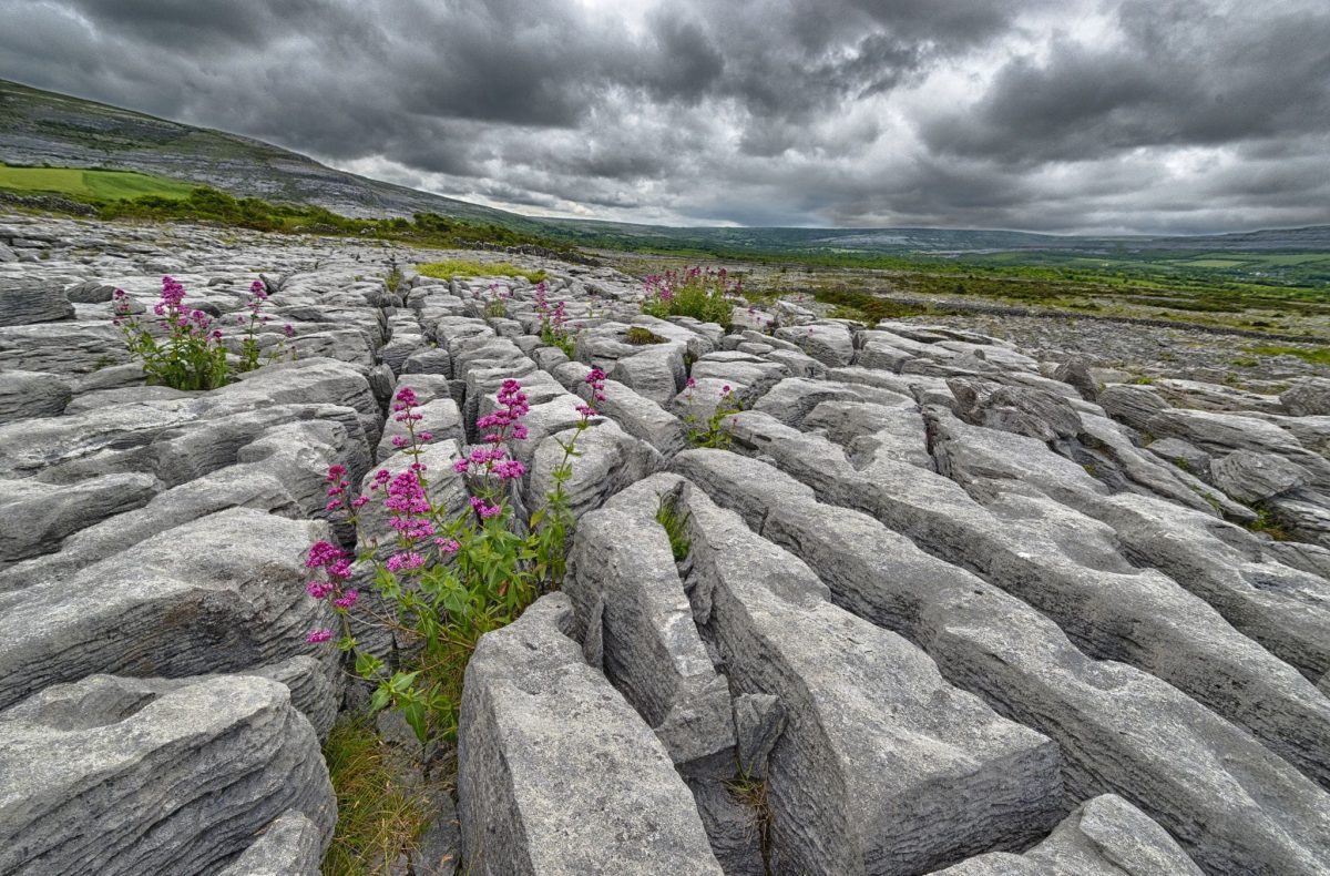 The Burren Experience
