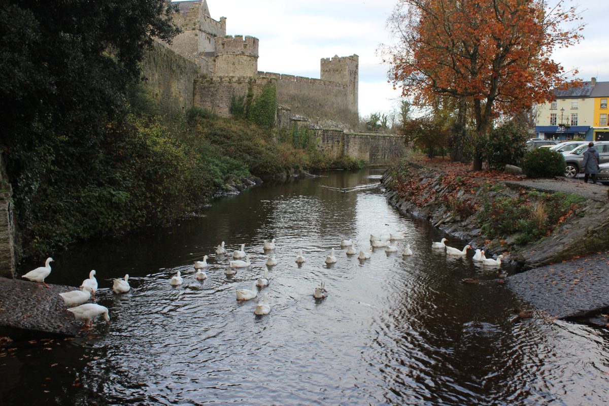 Cashel and the Golden Vale